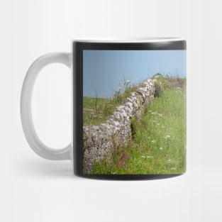 Wembury Dry Stone Wall Mug